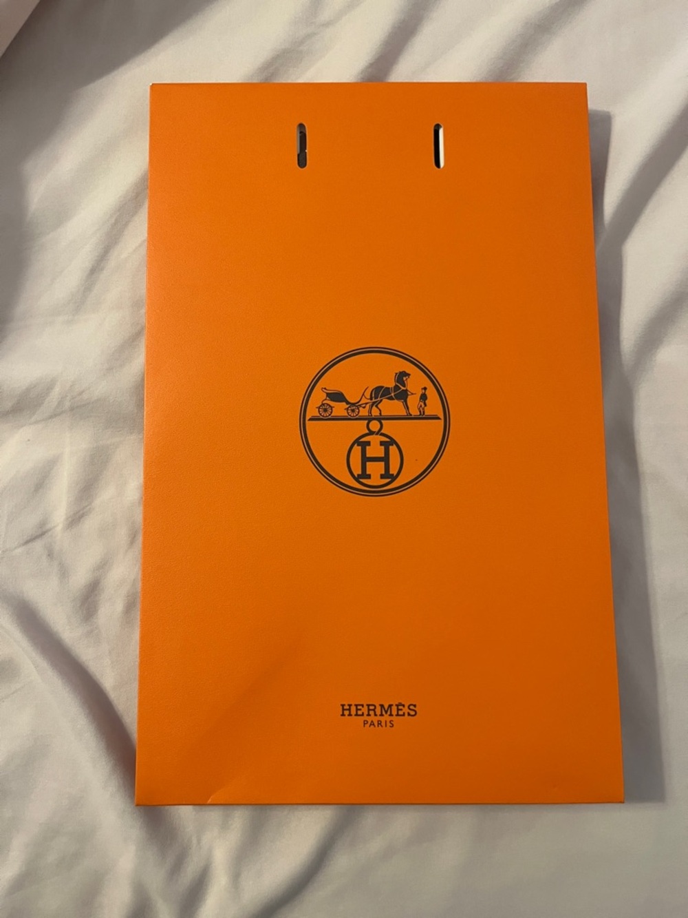 Hermes Gift Bag with Ribbon